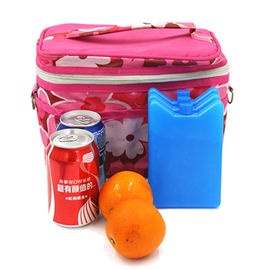 Mini lodowce do chłodzenia żywności i napojów w pudełkach na obiad Pikniki i inne różnorodne urządzenia Przenośne i wielokrotnie używane w obozach Rybołówstwo i morskie