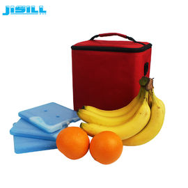 OEM Service HDPE Lunch Bag Freezer Packs 16x16x1,4cm Non żrący