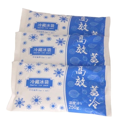 18.6*10.3CM PCM Ice Pack Brick do przechowywania i transportu medycznego