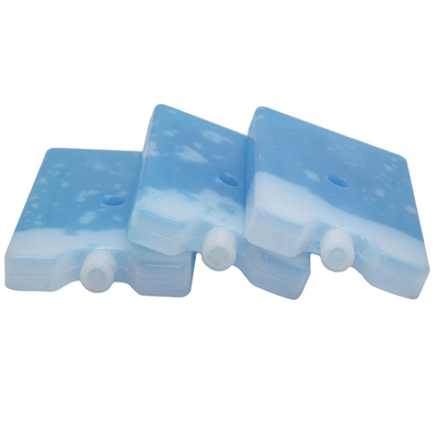 Małe przenośne plastikowe opakowania na lód Hard Gel Cooler Box na torby piknikowe